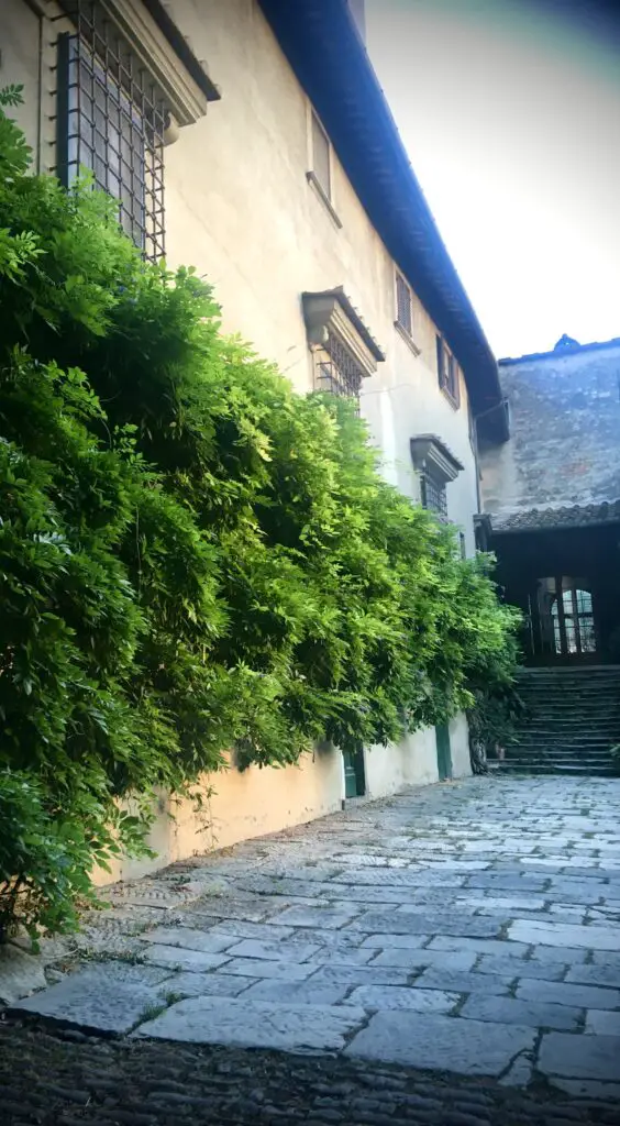 Wisteria growing along the length of Villa Rucellai